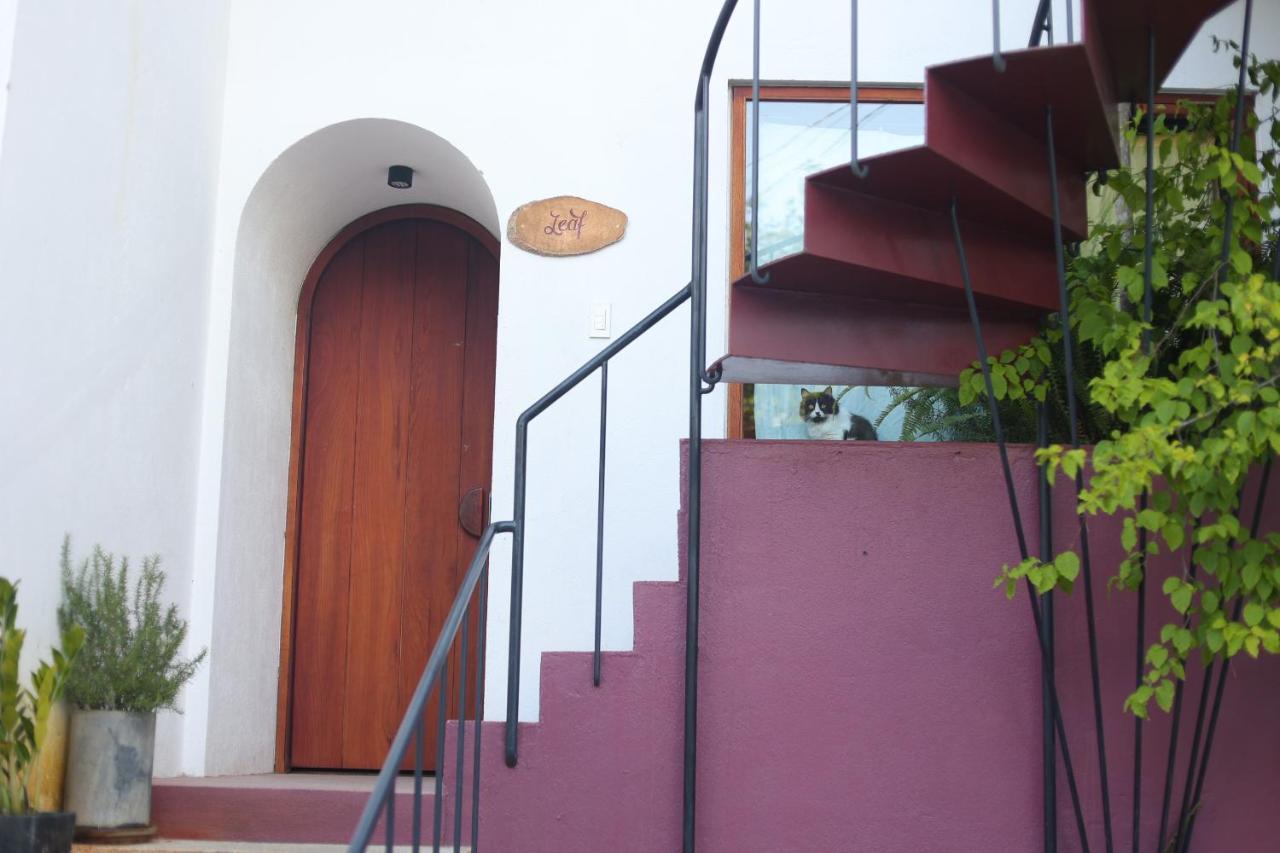 Cherry Suites Dalat Bagian luar foto
